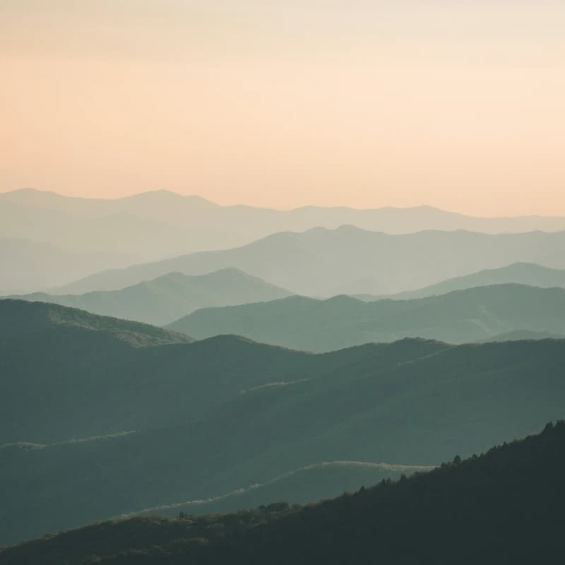 Calm Therapy visual representation