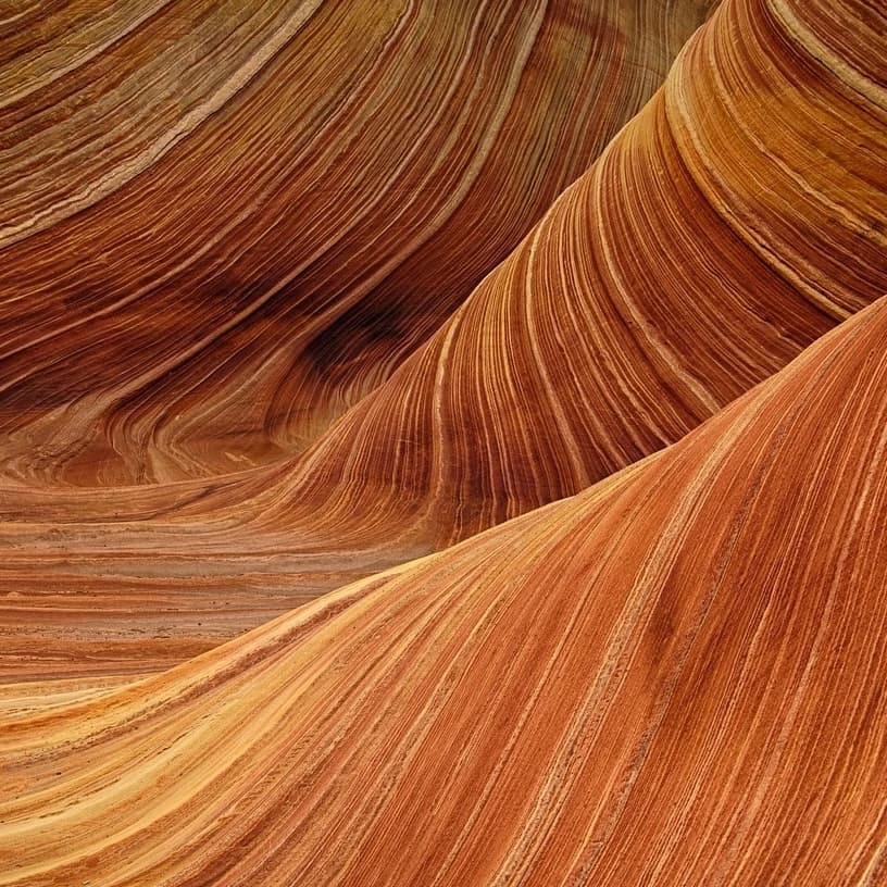 Close-up of eroded sandstone in a desert showing unique textures and warm tones.