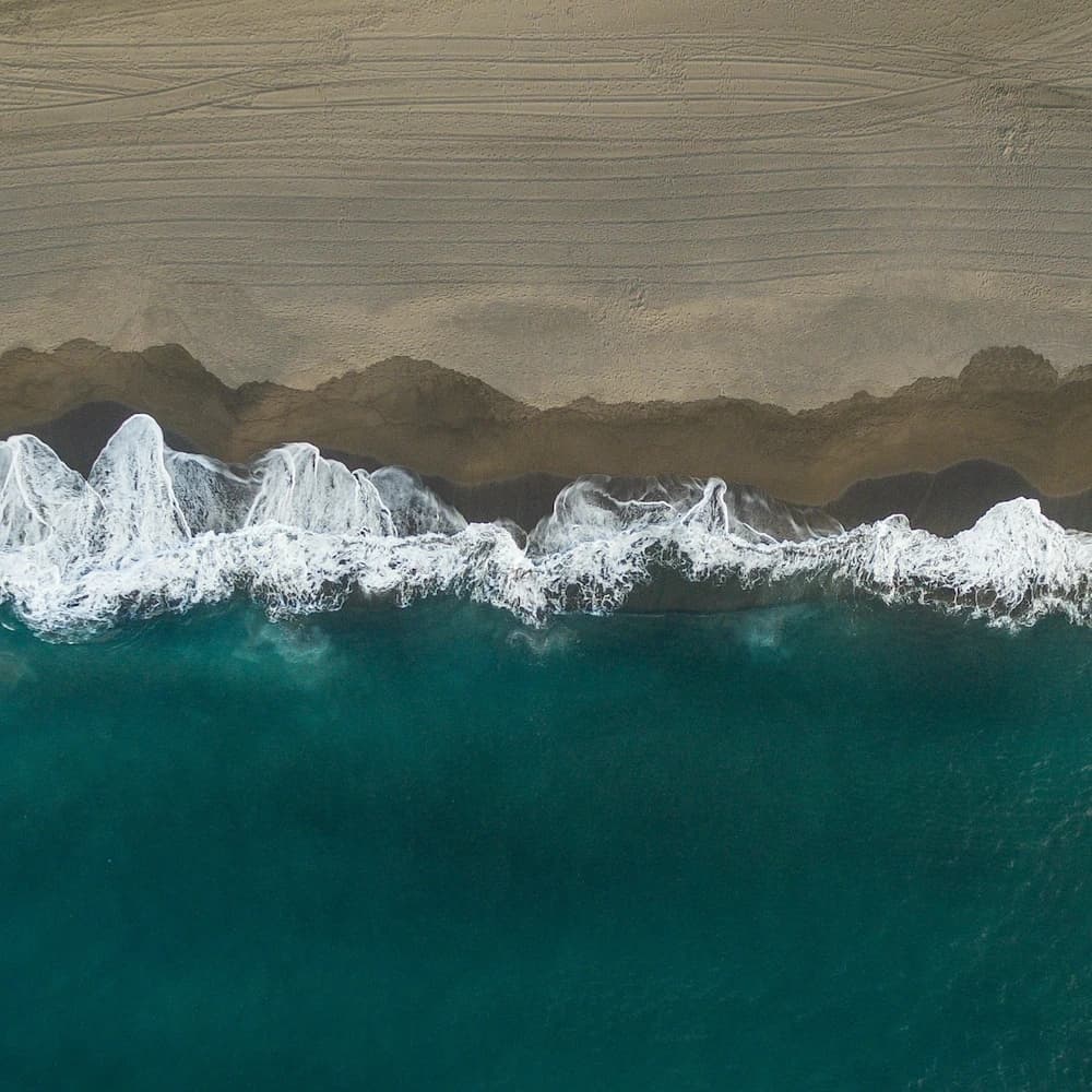 Therapy session illustration